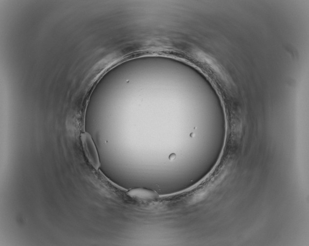 X0000113291361200909141155