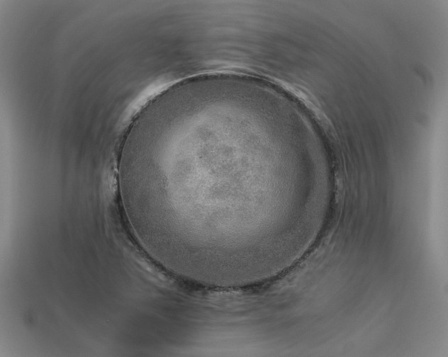 X0000113291363200909141155