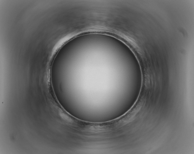 X0000113291366200909141155