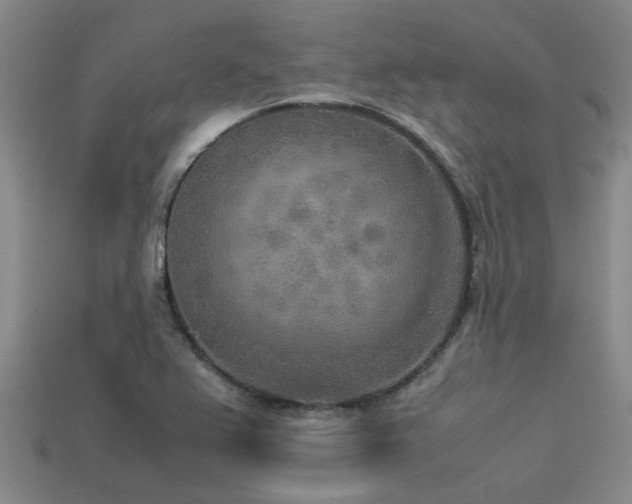 X0000113291367200909141155