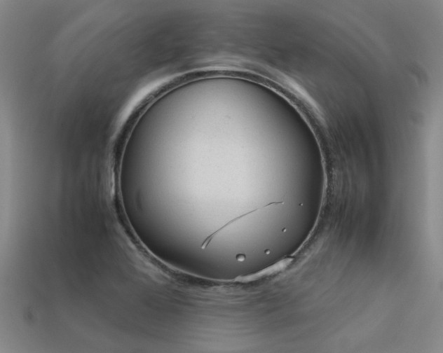 X0000113291368200909141155