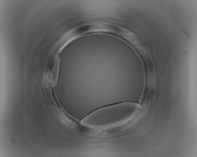 X0000113291369200909141155