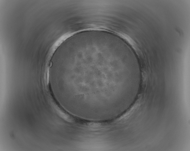 X0000113291371200909141155