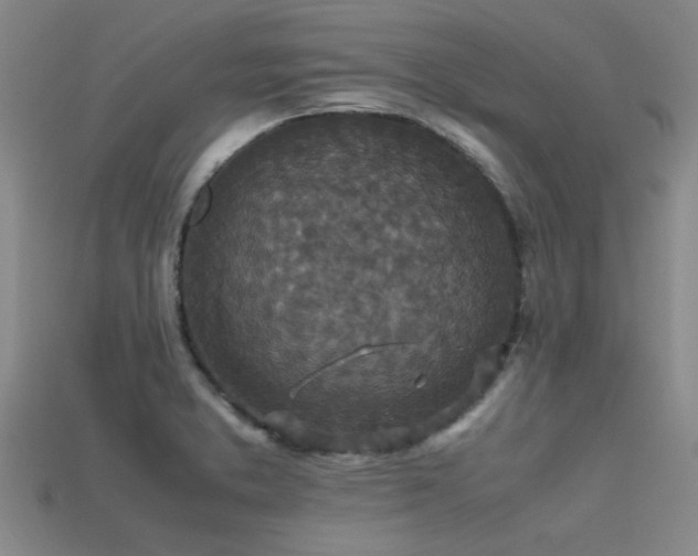 X0000113291373200909141155