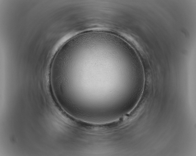 X0000113291375200909141155