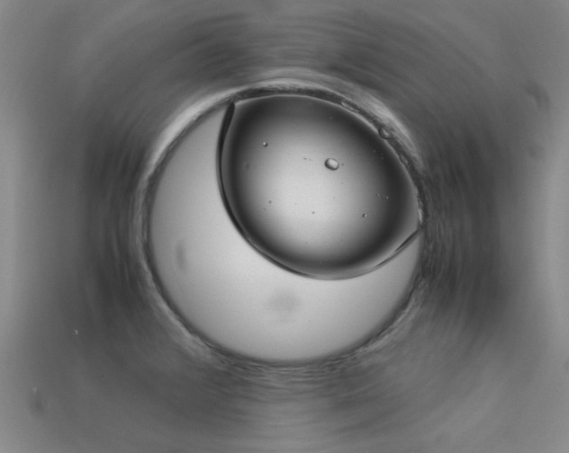 X0000113291376200909141155