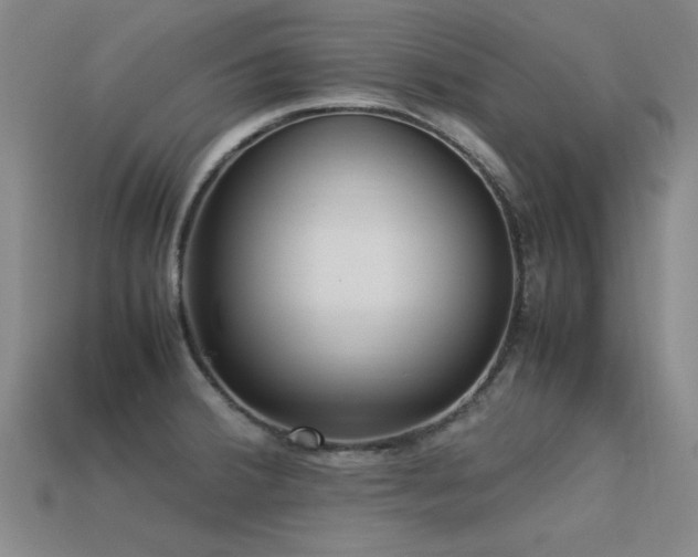 X0000113291380200909141155