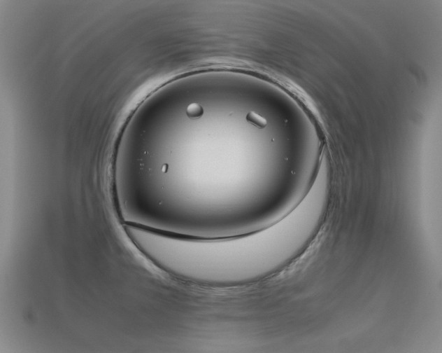 X0000113291381200909141155