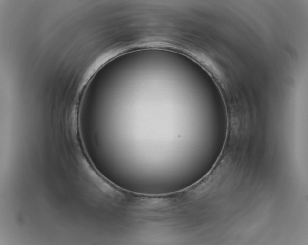 X0000113291382200909141155