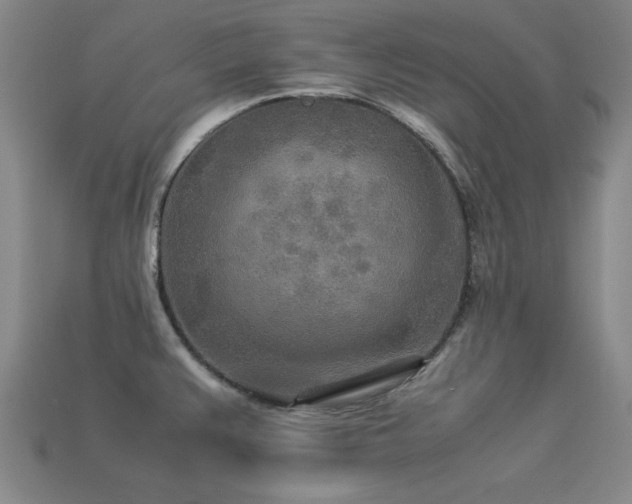 X0000113291383200909141155