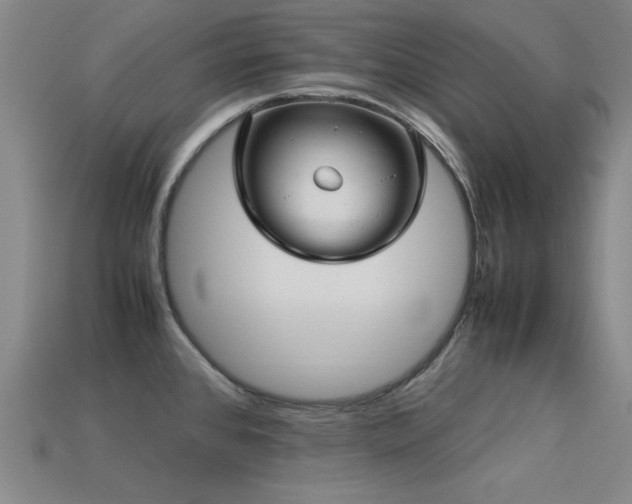 X0000113291384200909141155