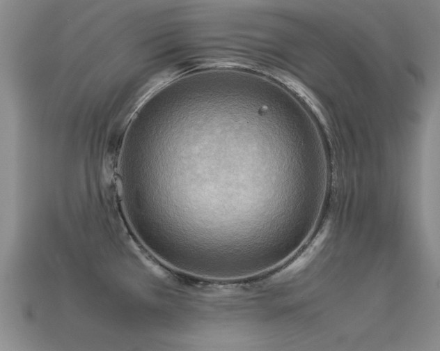 X0000113291385200909141155