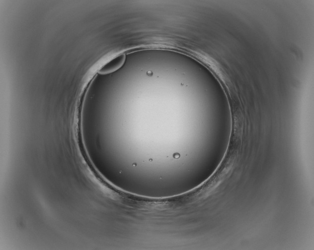 X0000113291387200909141155