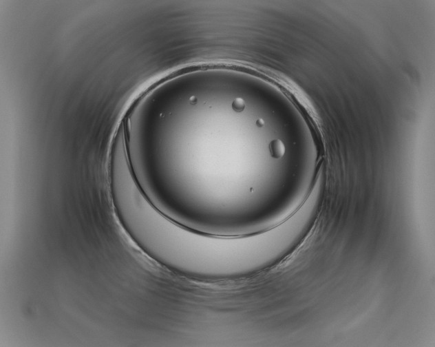 X0000113291388200909141155