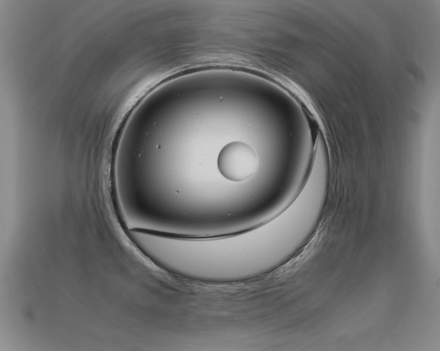 X0000113291389200909141155