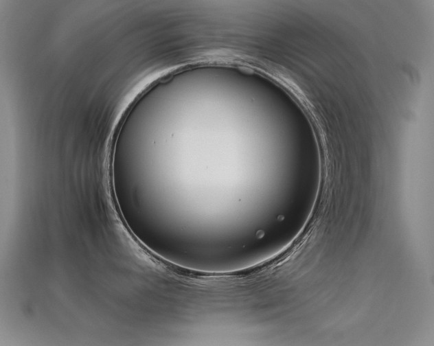 X0000113291392200909141155