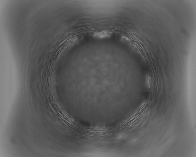 X0000113291393200909141154