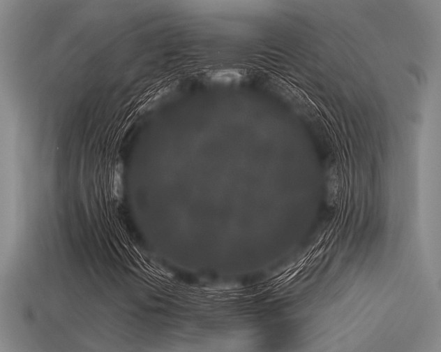 X0000113291394200909141154