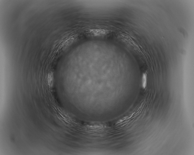 X0000113291395200909141154