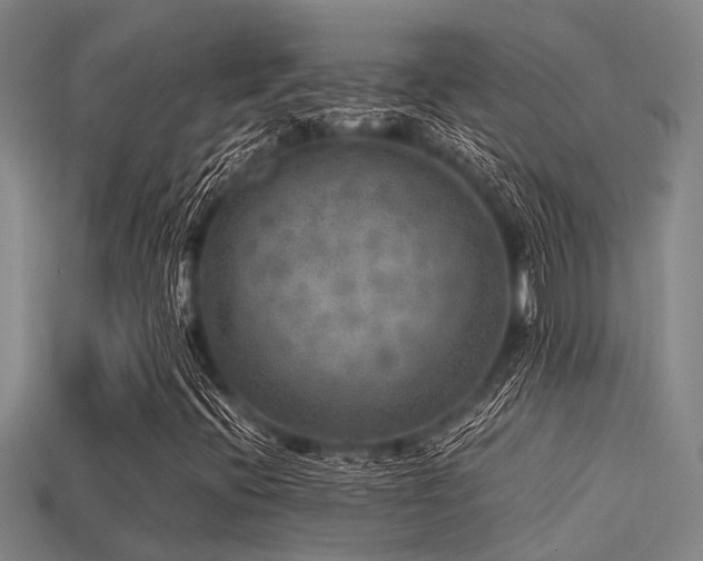 X0000113291396200909141154