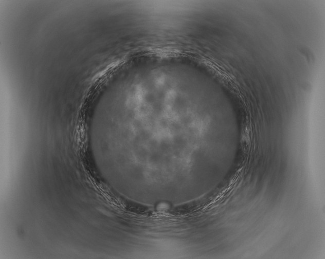 X0000113291398200909141154