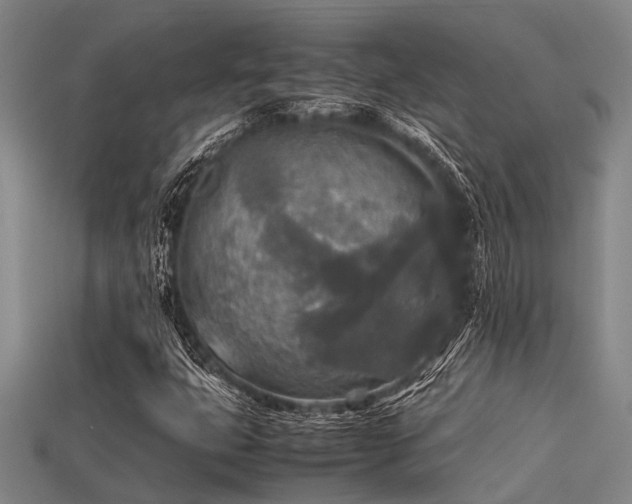 X0000113291399200909141154