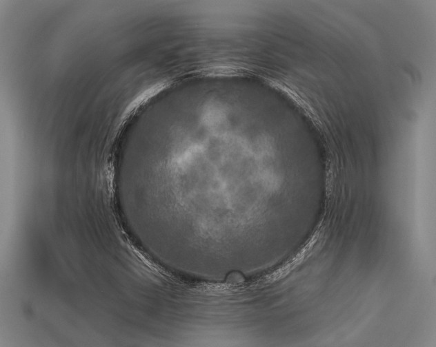 X0000113291402200909141154