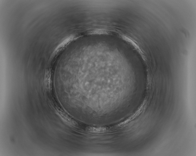 X0000113291403200909141154