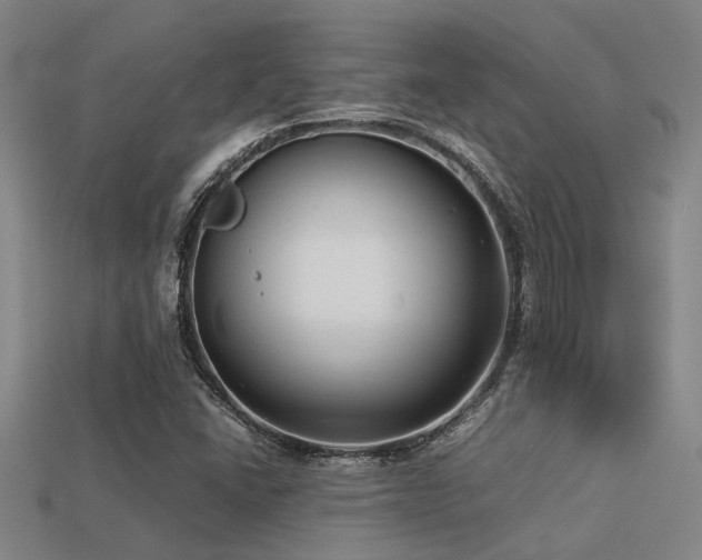 X0000113291406200909141154