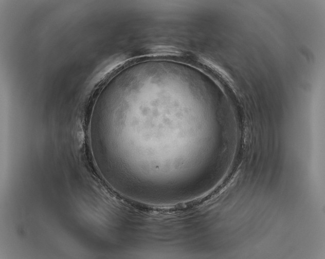 X0000113291407200909141154