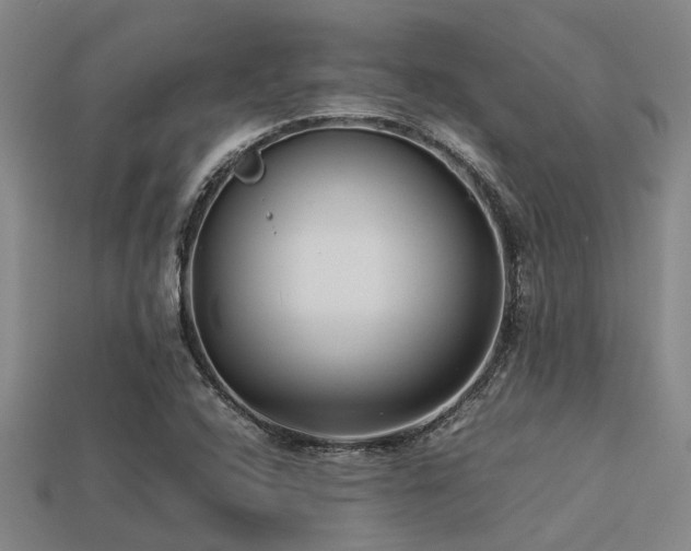 X0000113291408200909141154