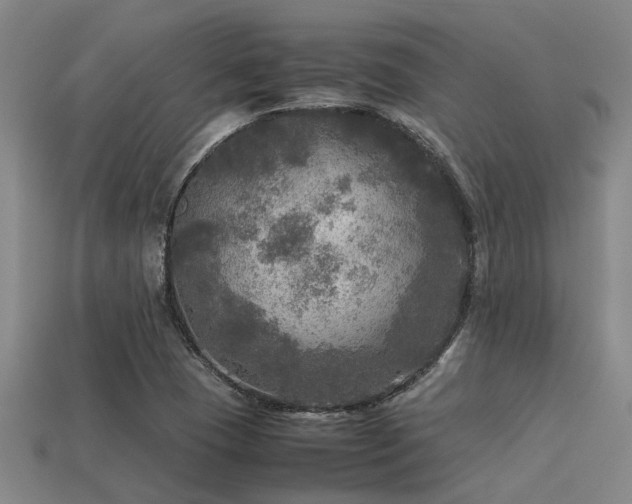 X0000113291409200909141154