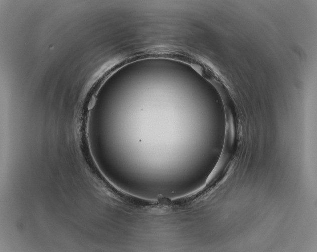 X0000113291410200909141154