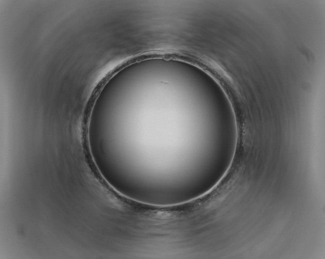 X0000113291412200909141154