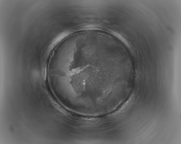 X0000113291413200909141154