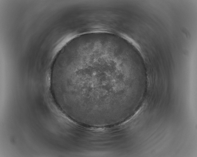 X0000113291415200909141154