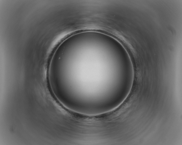 X0000113291416200909141154