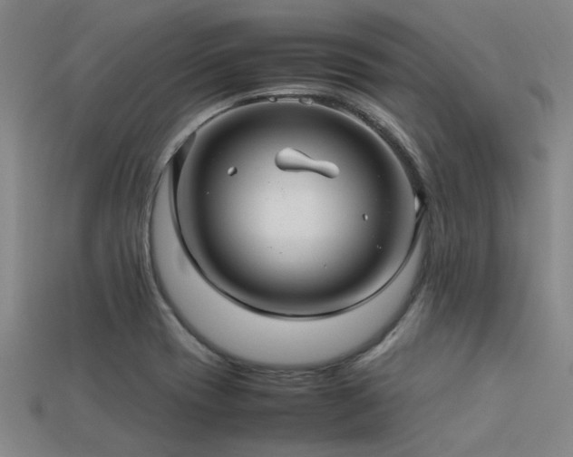 X0000113291417200909141154