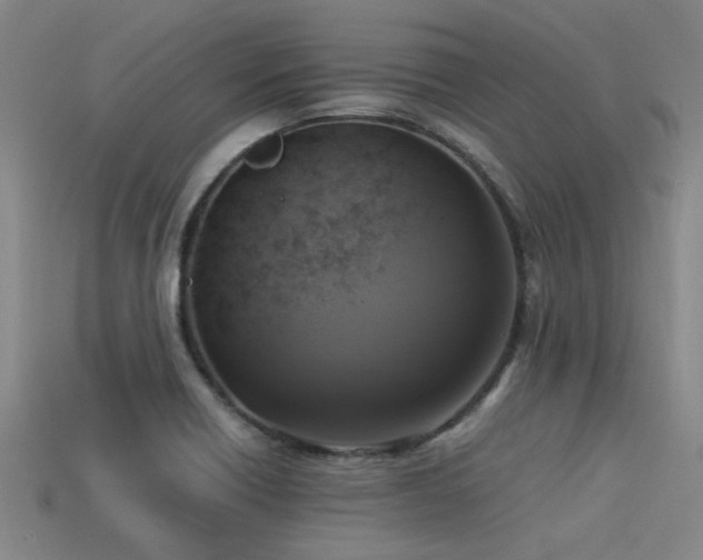 X0000113291418200909141154