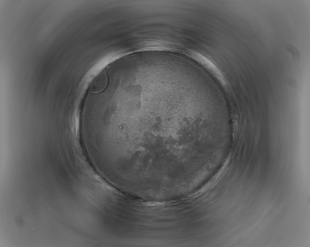 X0000113291419200909141154