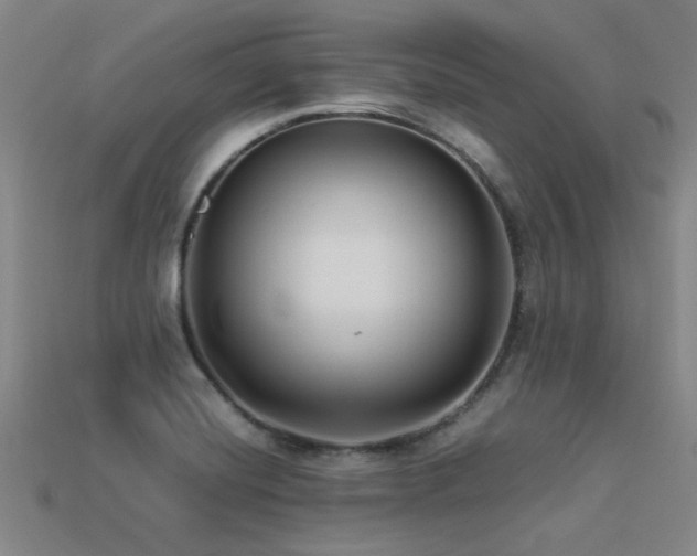 X0000113291420200909141154