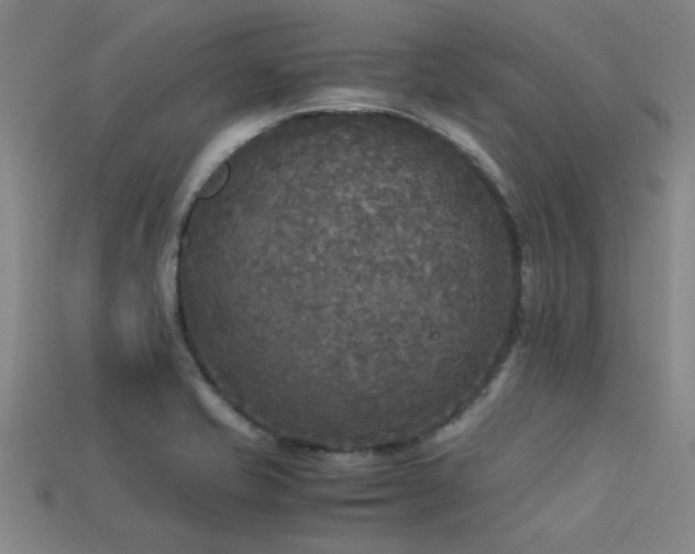 X0000113291421200909141154