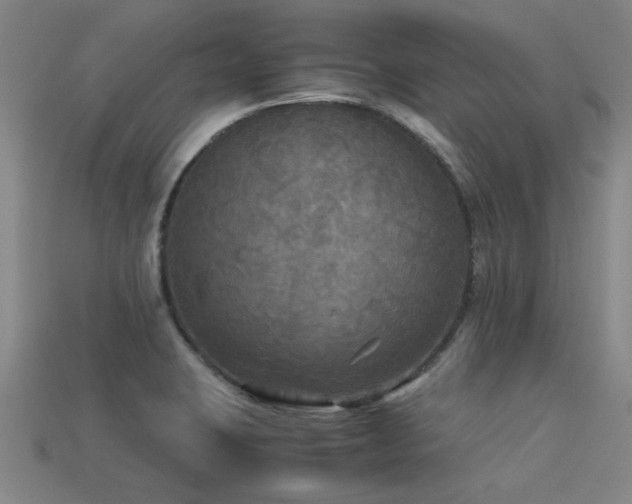 X0000113291423200909141154