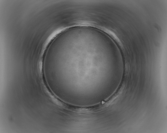 X0000113291424200909141154