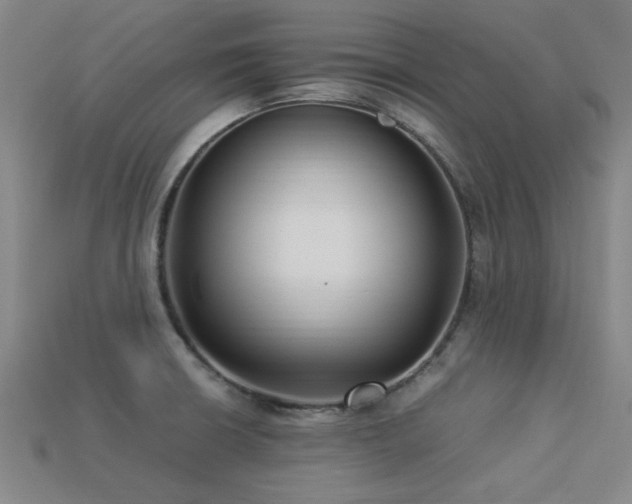 X0000113291426200909141154