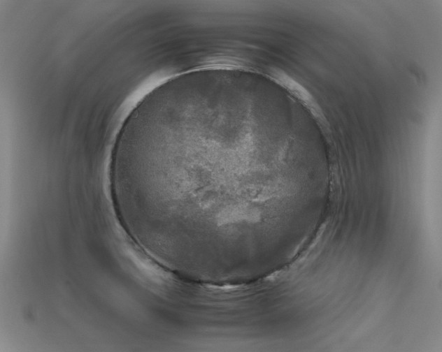 X0000113291427200909141154