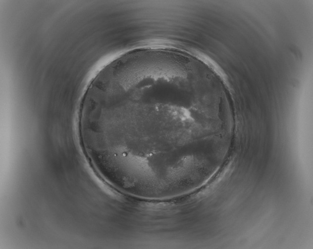 X0000113291429200909141154