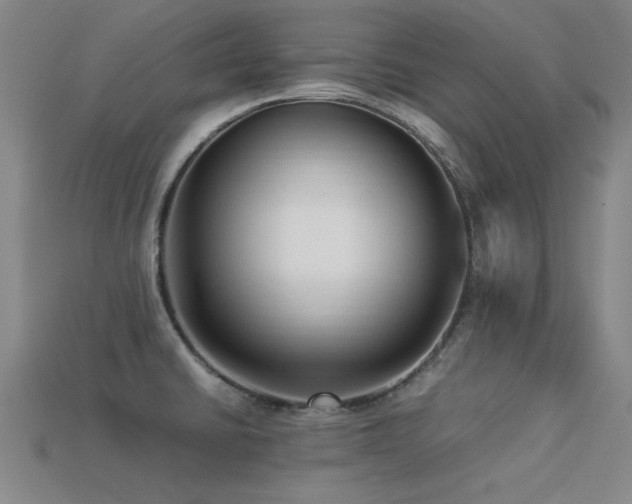 X0000113291430200909141154