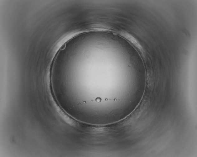 X0000113291431200909141154