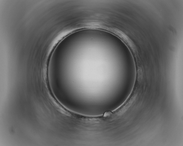 X0000113291432200909141154